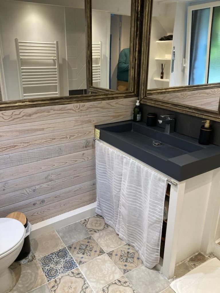 La Berge Du Clain - Joli Appartement A Poitiers Bagian luar foto